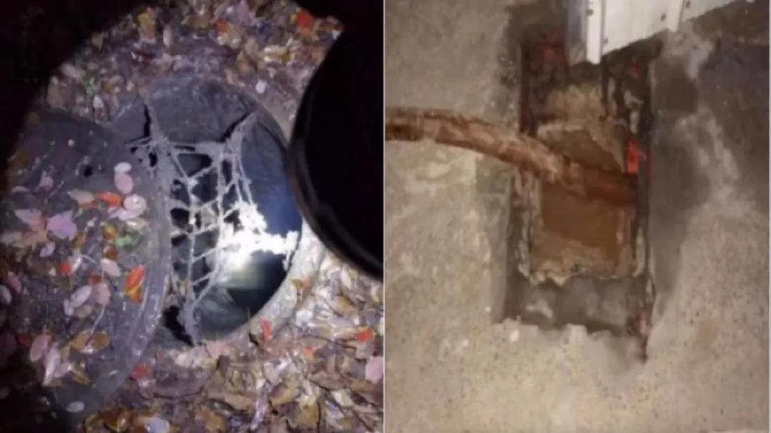 黑科技! 水污染“云溯源”技術助力解決污水處理廠進水異常問題 黑科技! 水污染“云溯源”技術助力解決污水處理廠進水異常問題